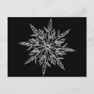 Perfekte Schneeflocke für den Weihnachtsurlaub Feiertagspostkarte