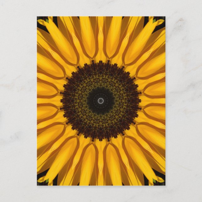 Perfekte Sonnenblume Postkarte (Vorderseite)