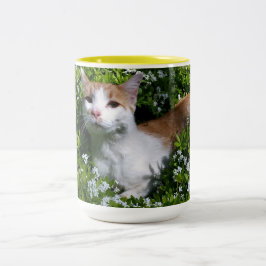 Perfekte Tasse Kaffee