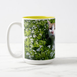 Perfekte Tasse Kaffee