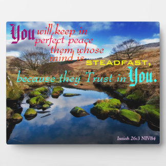 Perfekter Friedensplatz. Fotoplatte