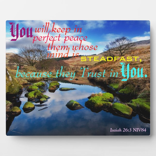 Perfekter Friedensplatz. Fotoplatte (Vorderseite)