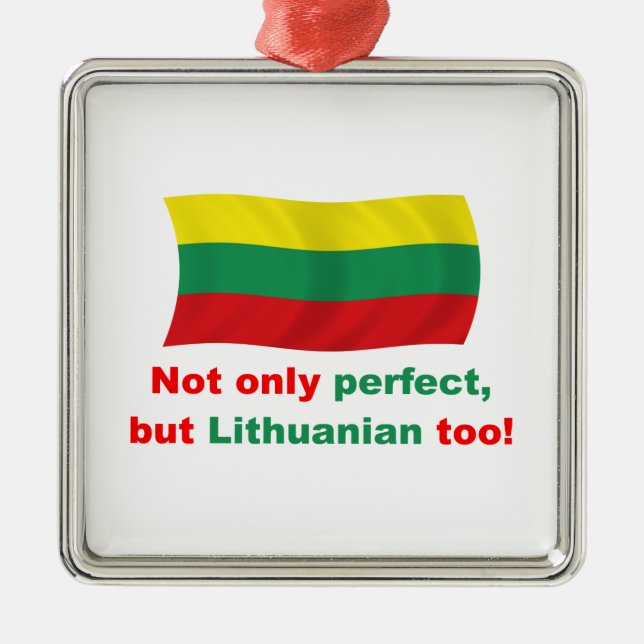 Perfekter Litauer Ornament Aus Metall (Vorne)