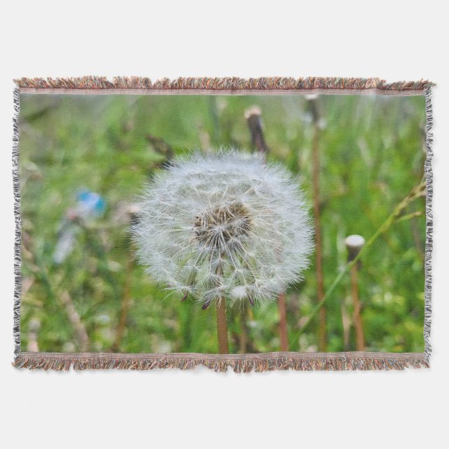 Perfekter Löwenzahn – Botanische Makrofotografie Decke (Vorderseite)