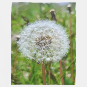 Perfekter Löwenzahn – Botanische Makrofotografie Fleecedecke