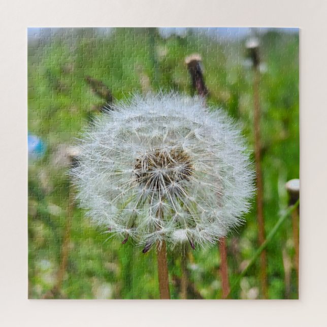 Perfekter Löwenzahn – Botanische Makrofotografie Puzzle (Vertikal)