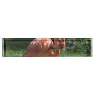 Perfekter rosa Flamingo Namensplakette