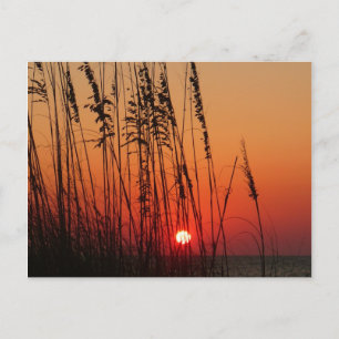 Perfekter Sonnenuntergang Postkarte