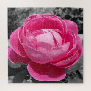 Perfektes Erbe Rosa Rose mit Grau Puzzle