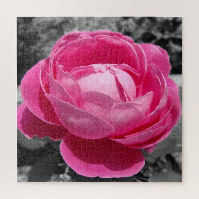 Perfektes Erbe Rosa Rose mit Grau Puzzle (Vertikal)