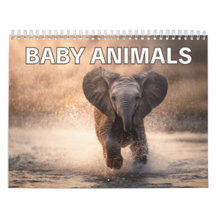 Perfektes Geschenk für Tierliebhaber Baby-Tiere Kalender