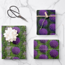 Perfektes Lila Angebot der Allium Blume Motivieren Geschenkpapier Set
