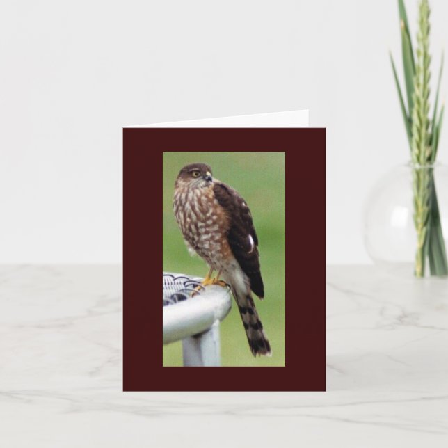 Perfektes Profil Karte (Vorderseite)