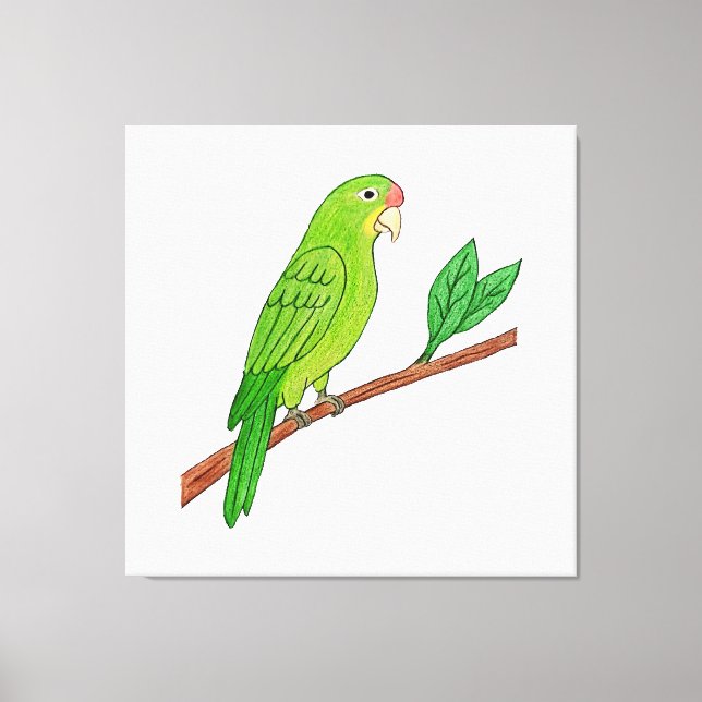 Perico verde del trópico leinwanddruck (Vorderseite)