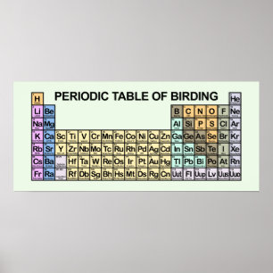 Periodische Vogelbeobachtung Poster