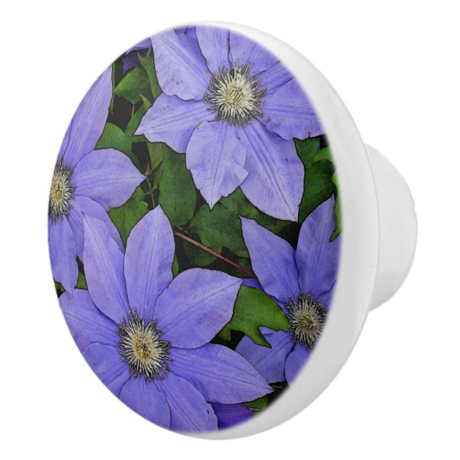 PERIWINKLE BLUE CLEMATIS KERAMIKKNAUF (Rechts)