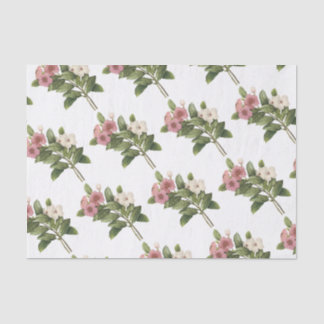 Periwinkle-Blume Seidenpapier