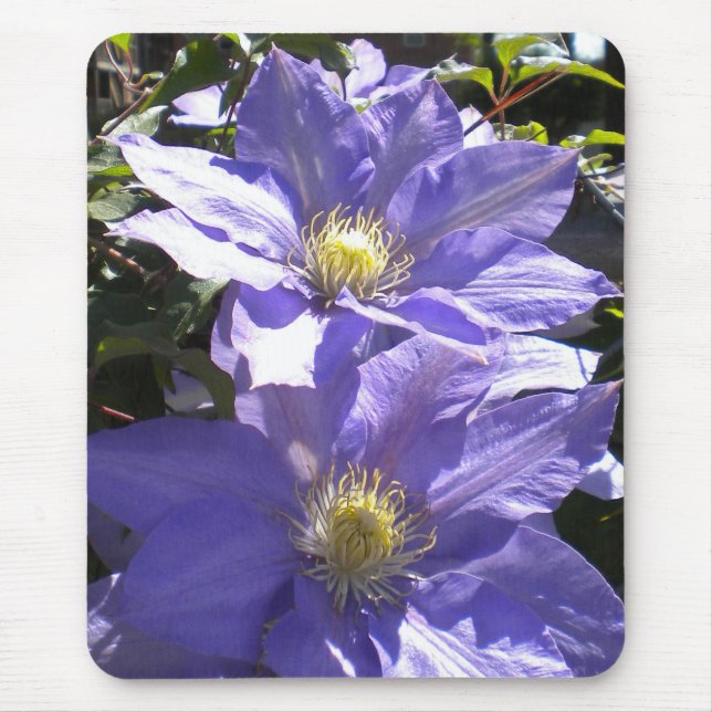 Periwinkle Clematis Mousepad (Vorne)