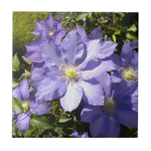 Periwinkle Clematis Tile Fliese