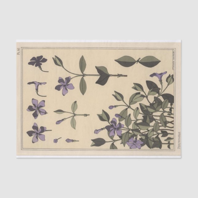 Periwinkle, die Botany-Serie von Eugene Grasset Seidenpapier (Vorderseite)