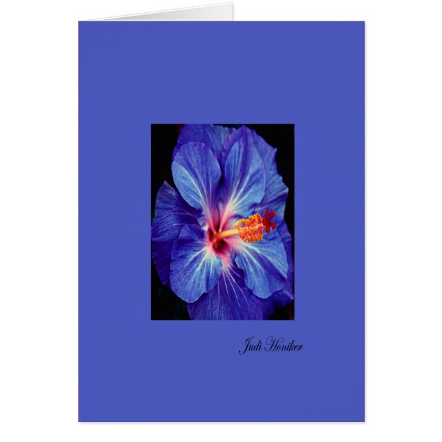 Periwinkle~eine der abgenutztesten Farben (Vorne)