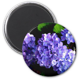 Periwinkle hydrangeas purple blue flower floral magnet