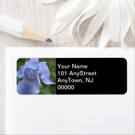 Periwinkle Iris Floral Wedding 