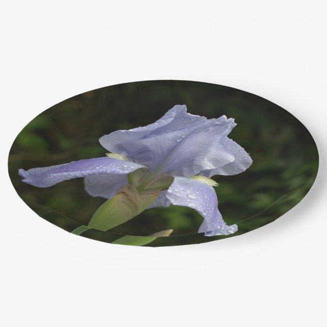 Periwinkle Iris Petals Raindrops Pappteller (Schrägansicht)