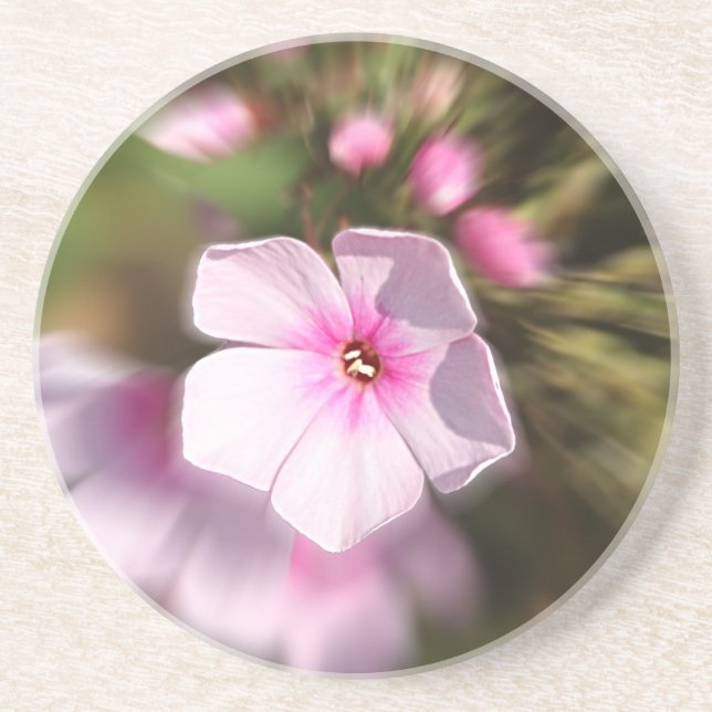 Periwinkle Untersetzer (Vorne)