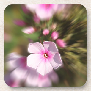 Periwinkle Untersetzer