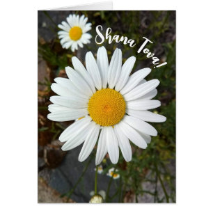 Perky White Daisy Blume Rosh Hashanah Card