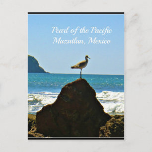 Perle des Pazifik Mazatlan Mexico Bird Postkarte