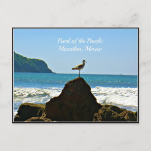 Perle des Pazifiks, Mazatlan Mexico Seagull Card Postkarte