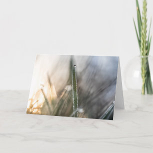 Perlen im Gras Karte