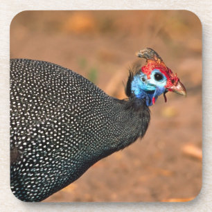 Perlhuhn (Numida meleagris). Afrika, Untersetzer