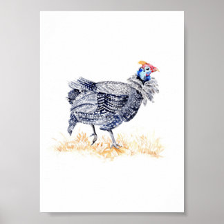 Perlhuhn Poster