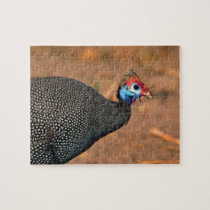 Perlhühner (Numida meleagris). Afrika, Puzzle
