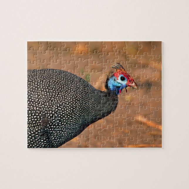 Perlhühner (Numida meleagris). Afrika, Puzzle (Horizontal)