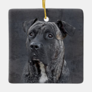 Perro de Presa Canario - Dogo Canario Keramikornament