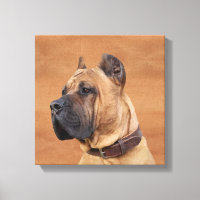 Perro de Presa Canario - Dogo Canario