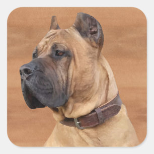 Perro de Presa Canario - Dogo Canario Quadratischer Aufkleber