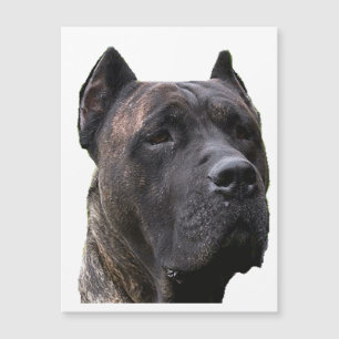 Perro de Pressa.png Magnetkarte
