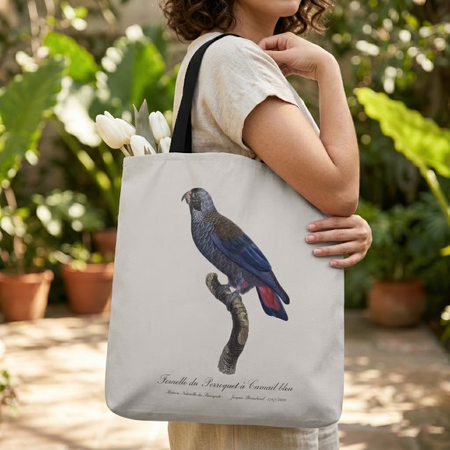 Perroquet a Camail bleu / Dusky Papagei (Dusky Parrot or Dusky Pionus, Pionus fuscus. Tote Bag)