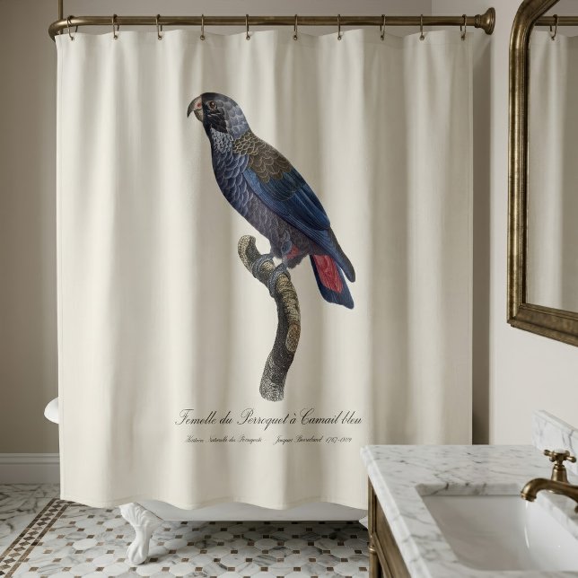 Perroquet a Camail bleu / Dusky Papagei Duschvorhang (Dusky Parrot or Dusky Pionus, Pionus fuscus. Shower Curtain)