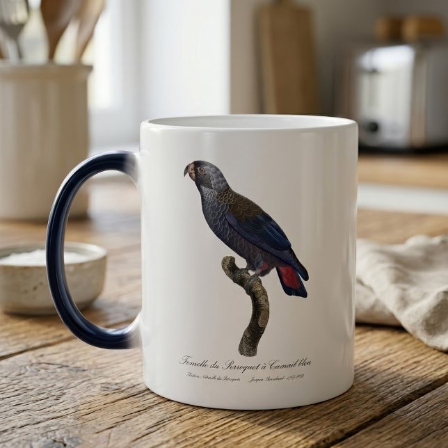 Perroquet a Camail bleu / Dusky Papagei Verwandlungstasse (Dusky Parrot or Dusky Pionus, Pionus fuscus. Color Morph Mug )