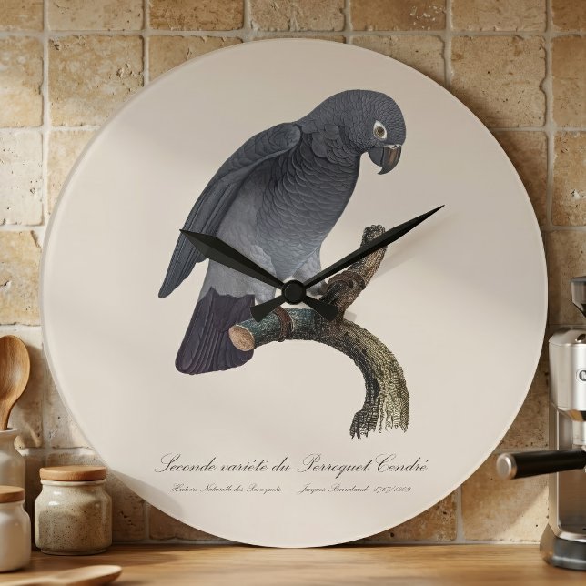 Perroquet Cendre/Timneh-Papagei Große Wanduhr (Timneh African Grey Parrot, Psittacus Timneh. Large Clock )