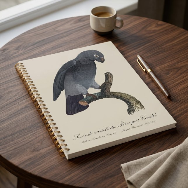 Perroquet Cendre/Timneh-Papagei Planer (Timneh African Grey Parrot, Psittacus Timneh. Planner)
