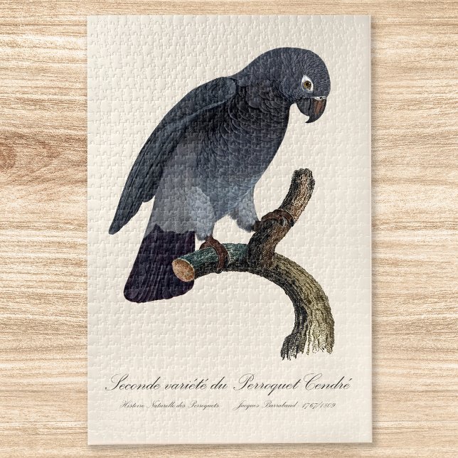 Perroquet Cendre/Timneh-Papagei Puzzle (Timneh African Grey Parrot, Psittacus Timneh. Jigsaw Puzzle)