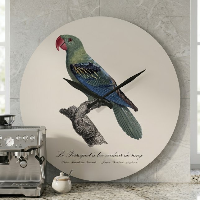 Perroquet ein Béc Couleur sang / Großschnabelpapag Große Wanduhr (Great-Billed Parrot, Tanygnathus Megalorynchos. Large Clock )