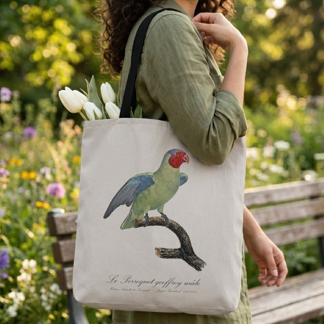 Perroquet geoffroy männlich / Roter Wangenpapagei (Male Red-Cheeked Parrot, Geoffroyus geoffroyi. Tote Bag)